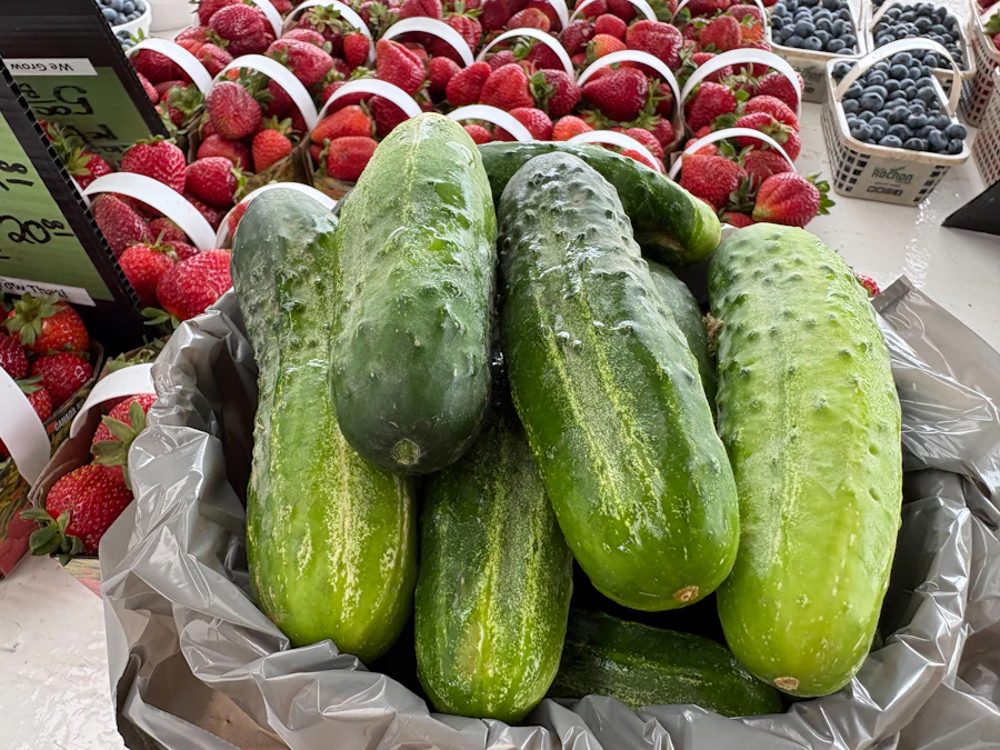 Pepinos, fresas y arándanos frescos